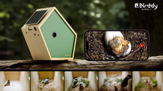 Birddy Smart Bird House: A Breakthrough in Avian Observation