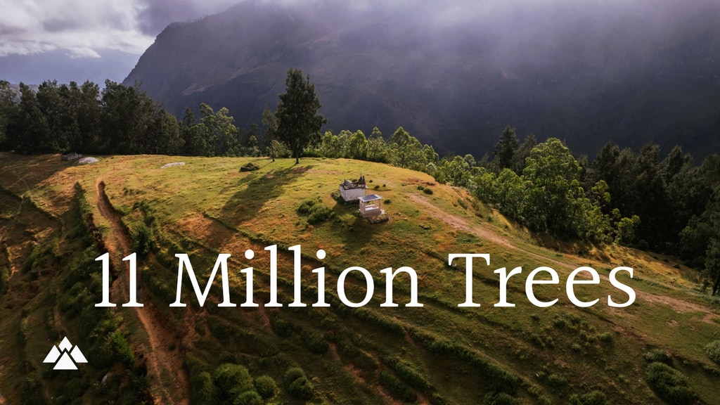 11 Million Trees - The Regeneration of Timor's Coffee Forest